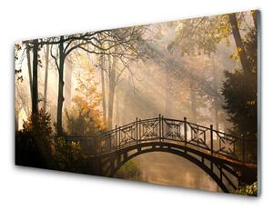 Pannello rivestimento parete cucina Architettura del ponte della foresta 100x50 cm