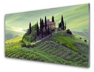 Pannello cucina paraschizzi Prato degli alberi della natura 100x50 cm