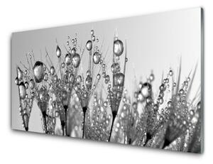 Pannello paraschizzi cucina Astrazione di piante naturali 100x50 cm