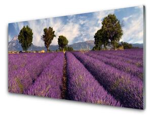 Rivestimento parete cucina Prato degli alberi della natura 100x50 cm