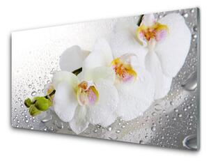 Rivestimento parete cucina Fiori, piante, natura 100x50 cm