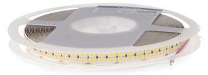 Striscia Led 24V 260W SMD 2835 10 metri IP20 Bianco freddo 6000K Ziadna M LEDME