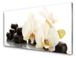 Pannello paraschizzi cucina Fiore di orchidea bianca 100x50 cm