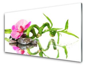 Pannello cucina paraschizzi Pietre di fiori di bambù Art 100x50 cm