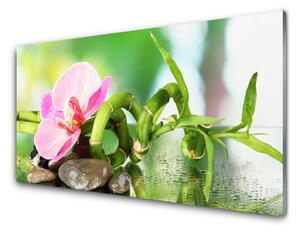 Quadro vetro Pietre Zen di fiori di bambù 100x50 cm