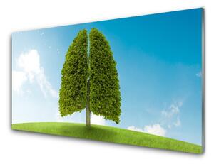 Rivestimento parete cucina Erba, albero, polmoni, natura 100x50 cm