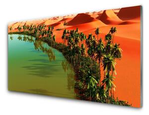 Quadro in vetro Lago di Palm Desert 100x50 cm