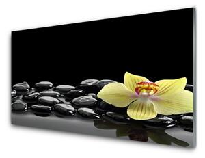 Quadro di vetro Fiore da cucina nero 100x50 cm