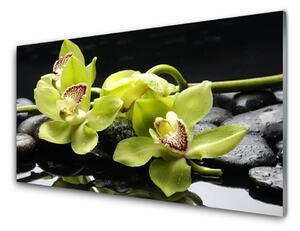 Quadro in vetro Pianta di orchidea da fiore 100x50 cm