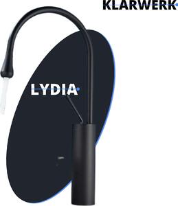 Lydia | Hotel Gastro Black Miscelatore da bagno | Rubinetto in acciaio inox per lavabi alti | Miscelatore 2 attacchi | Miscelatore alta pressione alto | Bagno