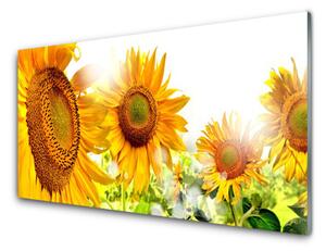 Quadro di vetro Legno, fiori, piante, natura 100x50 cm