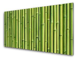 Quadro su vetro Pianta di bambù Natura 100x50 cm