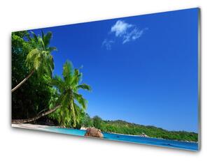Quadro di vetro Palme Spiaggia Paesaggio 100x50 cm