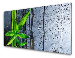 Quadro in vetro Pianta di foglie di bambù Natura 100x50 cm