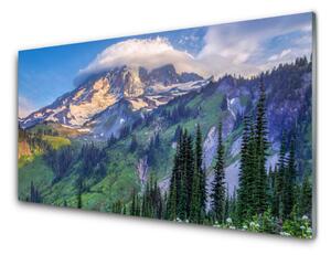 Quadro su vetro Montagna Foresta Paesaggio Natura 100x50 cm