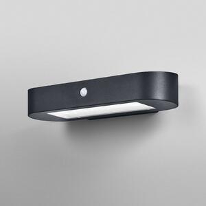 OSRAM applique a LED con sensore ENDURA STYLE SOLAR OVAL 34 cm 830, Nero, Alluminio, Moderno, Lampada solare da esterni
