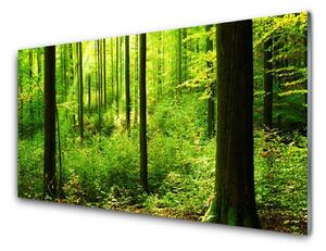 Quadro vetro Foresta Verde Alberi Natura 100x50 cm