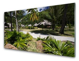 Quadro in vetro Foglie di palma Natura 100x50 cm