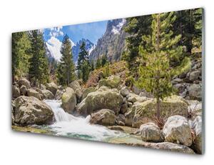 Quadro vetro Foresta di montagna Stones River 100x50 cm