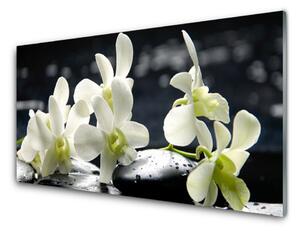 Quadro su vetro Pianta di orchidea da fiore 100x50 cm