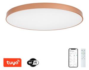 BRILAGI-LED Lampada dimmerabile POOL SMART LED/180W/230V 120 cm Wi-Fi Tuya bronzo+DO
