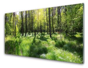 Quadro di vetro Foresta Erba Pianta Natura 100x50 cm