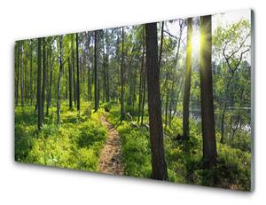 Quadro in vetro Sentiero forestale Natura 100x50 cm