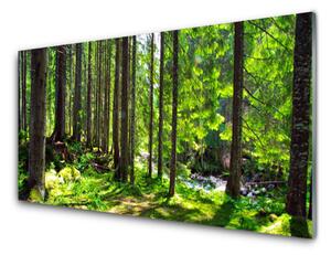 Quadro di vetro Foresta Alberi Pianta Natura 100x50 cm