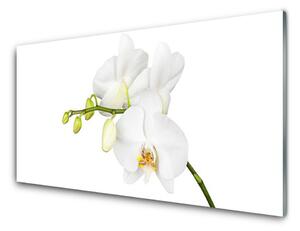 Quadro vetro Orchidea Fiori della natura 100x50 cm