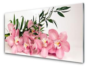 Quadro in vetro Fiori di Orchidea Spa 100x50 cm