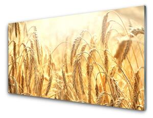 Quadro in vetro Orecchie da campo ai cereali Natura 100x50 cm