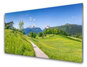 Quadro di vetro Montagne Prato Valle Sentiero 100x50 cm