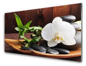 Quadro su vetro Bambù Zen Orchidea bianca 100x50 cm