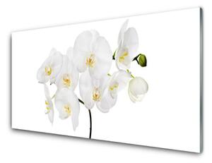 Quadro in vetro Fiori di orchidea bianchi 100x50 cm