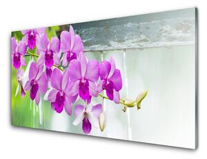 Quadro in vetro Orchidee gocce di natura 100x50 cm