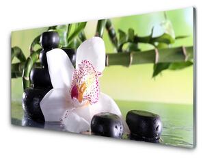 Quadro di vetro Pietre di orchidea Bambù 100x50 cm
