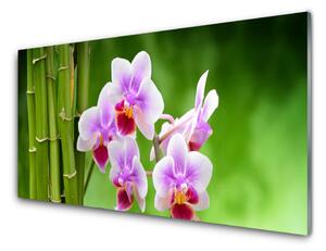 Quadro in vetro Orchidea di bambù Fiori Zen 100x50 cm