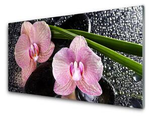 Quadro in vetro Fiori Orchidea Orchidea Zen 100x50 cm