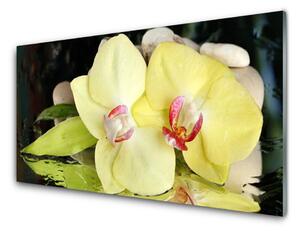 Quadro in vetro Petali di fiori di orchidea 100x50 cm