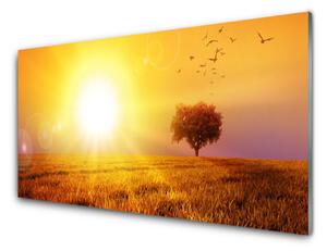Quadro su vetro Uccelli del prato al tramonto 100x50 cm