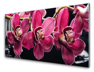 Quadro su vetro Fiori Steli di orchidea Natura 100x50 cm