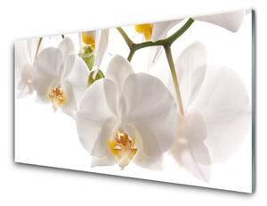 Pannello cucina paraschizzi Fiori di orchidea Natura 100x50 cm