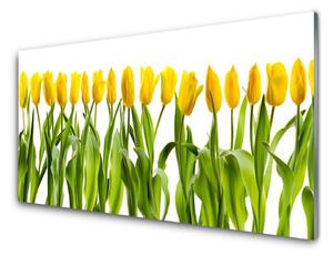 Quadro vetro Tulipani Fiori della natura 100x50 cm