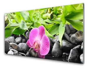 Quadro vetro Fiori Pianta di orchidea 100x50 cm