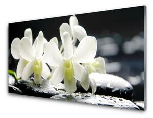 Quadro di vetro Pietre Fiori Orchidea 100x50 cm