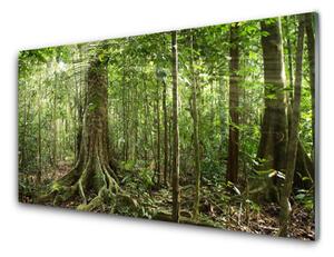 Quadro su vetro Foresta Natura Giungla Alberi 100x50 cm