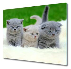 Tagliere in vetro Tre gatti sulla coperta 60x52 cm
