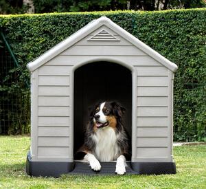 Cuccia per cani