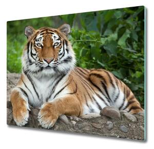 Tagliere in vetro Tigre siberiana 60x52 cm
