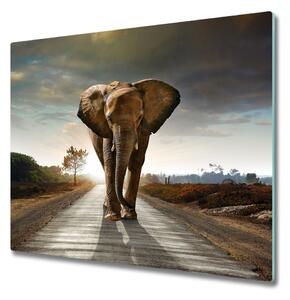Tagliere in vetro Camminando per l'elefante 60x52 cm